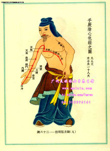 手厥陰心包經循行路線圖