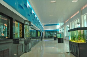 廣東海洋大學水生生物博物館 廣東海洋大學水生生物博物館