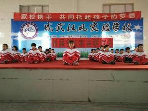 成武漢風實驗學校 成武漢風實驗學校
