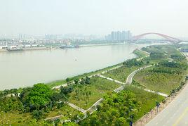 濱江公園[上海濱江公園]