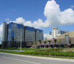 上海龍東商務酒店 上海龍東商務酒店