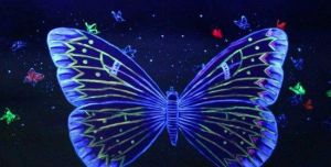 國際夜光互動藝術展