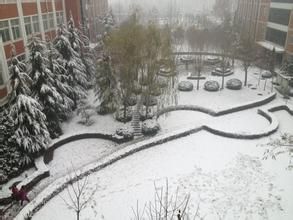 鄭州下雪 鄭州下雪