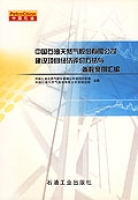 中國石油天然氣股份有限公司建設項目經濟評價方法與參數案例彙編 中國石油天然氣股份有限公司建設項目經濟評價方法與參數案例彙編