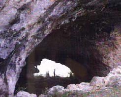 貴州地質博物館