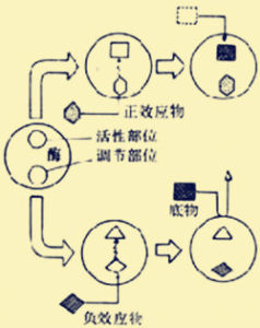 別構調節 別構調節