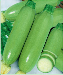 琦玉二號 琦玉二號