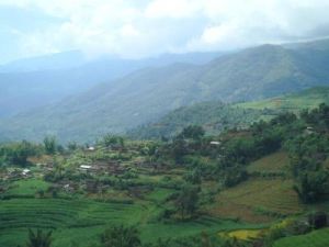 紅木山自然村 紅木山自然村