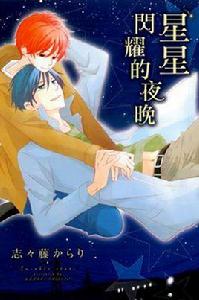 星星閃耀的夜晚 星星閃耀的夜晚