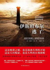 伊斯坦堡逃亡