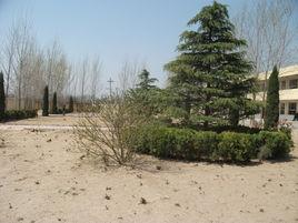 河南後河鎮 河南後河鎮