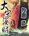 大宋海賊 大宋海賊