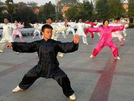 太極陰陽煉丹功 太極陰陽煉丹功