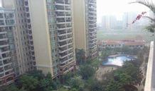 南航花園 南航花園