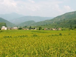 樓海一組 樓海一組