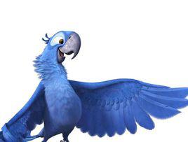 布魯[里約大冒險主角]