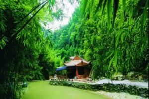 茶山竹海國家森林公園