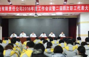 國投宣城發電有限責任公司