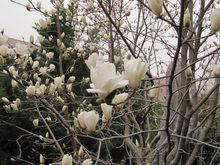 亳州市第三中學