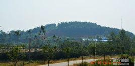 白石村[湖北省武穴市梅川鎮下轄村]