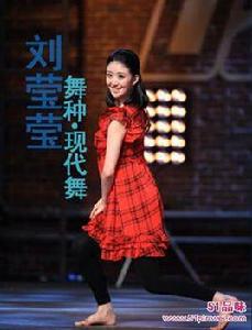 劉瑩瑩[西北工業大學副教授]