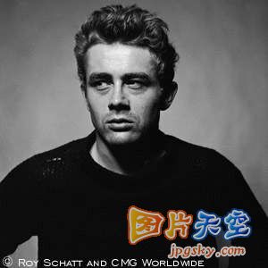 十大文化偶像（美國）