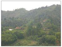 風草地自然村 風草地自然村