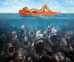 殺人最多動物排行 殺人最多動物排行