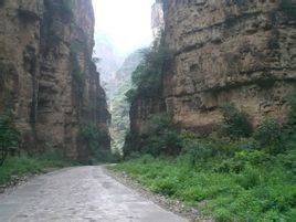 南石洋大峽谷森林公園 南石洋大峽谷森林公園