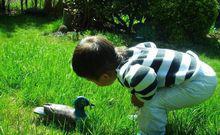 好奇心[心理學概念]