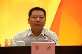 李波[四川省瀘州市委統戰部原正縣級副部長]