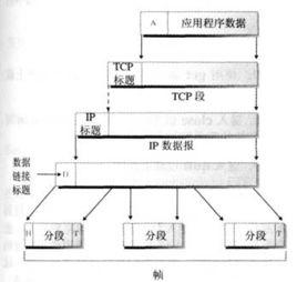 成幀圖案 成幀圖案