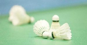 體育中心羽毛球館 體育中心羽毛球館