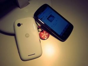 MOTO Domino MOTO Domino