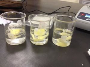 滲透濃度 滲透濃度