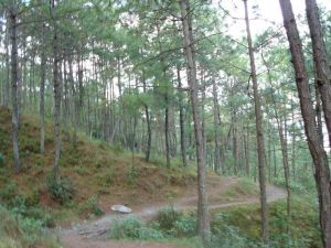 龍門三家村 龍門三家村