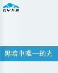 黑暗中唯一的光明 黑暗中唯一的光明