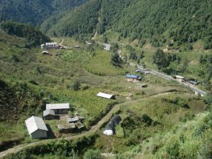 金月亮村 金月亮村