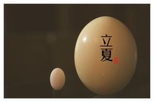 立夏蛋