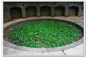 （圖）槓子寮炮台