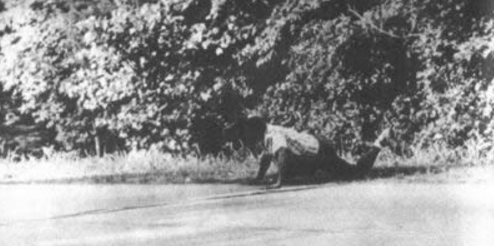 網路配圖 網路配圖