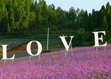 鳳凰塘橋&middot;香薰山谷