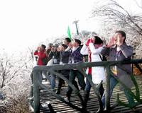 張家界至尚國旅