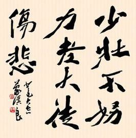 少壯不努力，老大徒傷悲