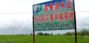 品香菸種植基地