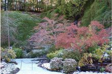 維多利亞島的寶翠花園