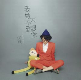 我做不到不想你 我做不到不想你