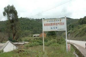 白馬箐村 白馬箐村