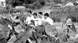 《農業合作社要有計畫地發展和整頓》 《農業合作社要有計畫地發展和整頓》