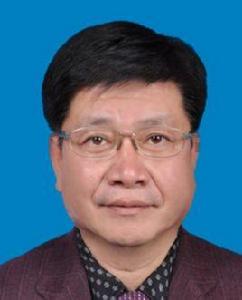 張龍[寧夏回族自治區審計廳黨組成員、副廳長]